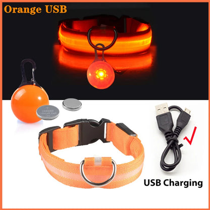 Illuminate Your Pet's Safety: USB Rechargeable Glowing Dog Collar with Detachable Pendant for Small Dogs and Cats