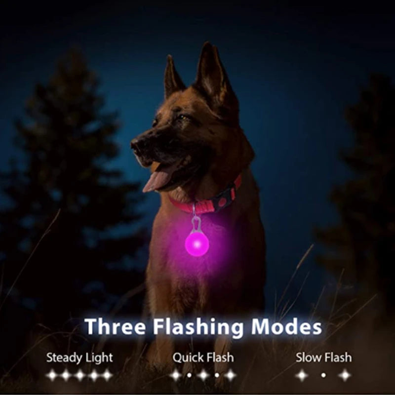 Illuminate Your Pet's Safety: USB Rechargeable Glowing Dog Collar with Detachable Pendant for Small Dogs and Cats