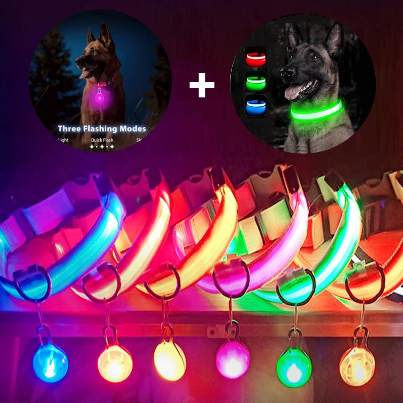 Illuminate Your Pet's Safety: USB Rechargeable Glowing Dog Collar with Detachable Pendant for Small Dogs and Cats