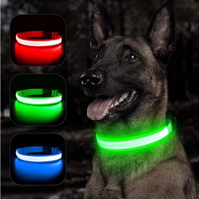 Illuminate Your Pet's Safety: USB Rechargeable Glowing Dog Collar with Detachable Pendant for Small Dogs and Cats