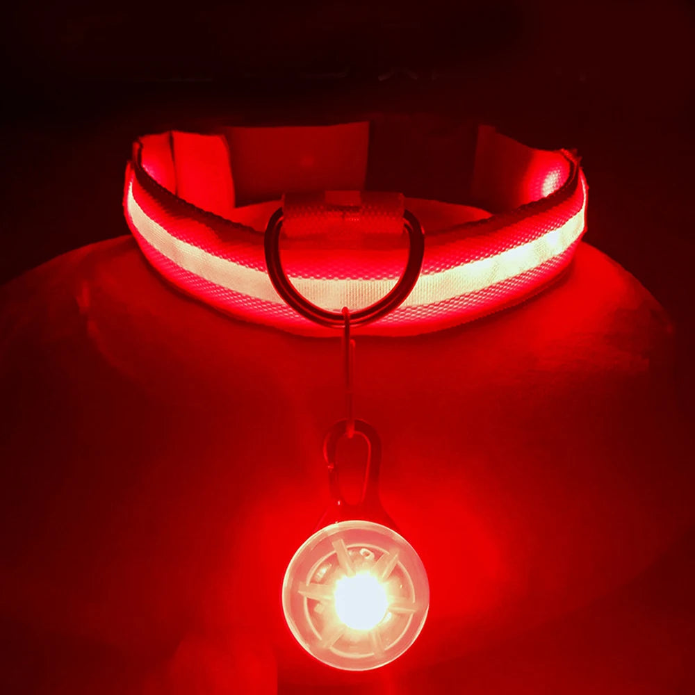 Illuminate Your Pet's Safety: USB Rechargeable Glowing Dog Collar with Detachable Pendant for Small Dogs and Cats